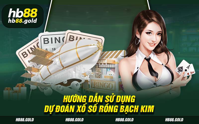 Hướng dẫn sử dụng dự đoán Rồng Bạch Kim